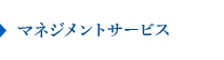 マネジメントサービス